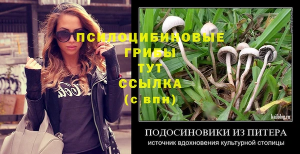 амф Кинешма