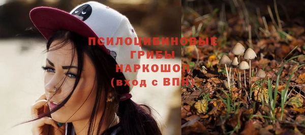 амф Кинешма